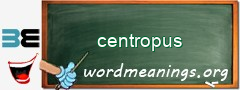 WordMeaning blackboard for centropus